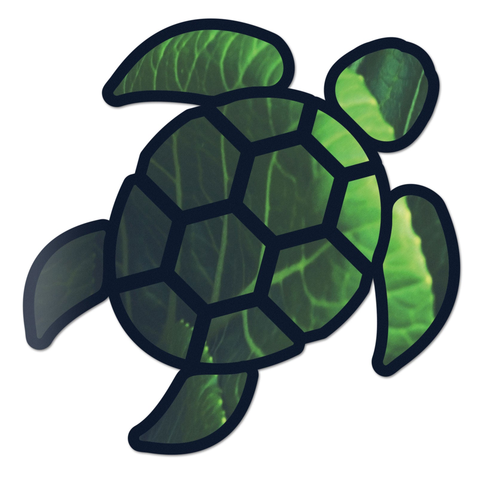 Red Hound Auto Sea Turtle Leaf Green Sticker Decal Wall Tumbler Cup Window Car Truck Laptop 2.5 Inches